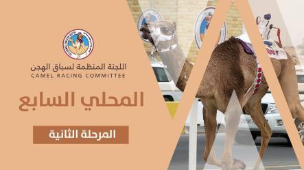 هجن الشيحانية تقدم " طلعة " و " نول " على قمة رئيسي المفتوح بمنافسات السباق المحلي السابع