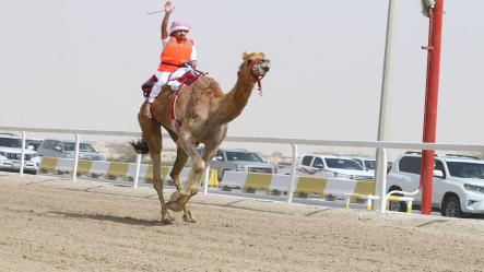 الكويتي علي حمد سالم المري يتوج بناموس شوط سباق الهجن التراثي للإتحاد العربي