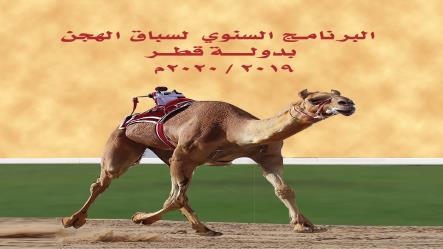 ينطلق في 7 سبتمبر 2019  المقبل : الإعلان عن البرنامج السنوي لموسم سباقات الهجن 2019 / 2020 بالشيحانية