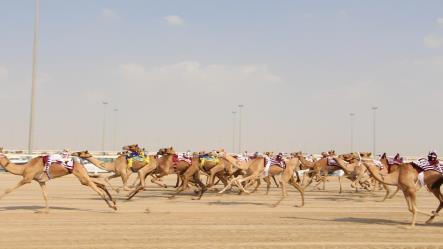 إنطلاق منافسات المرحلة الأولى من السباق المحلي الثالث بالشيحانية