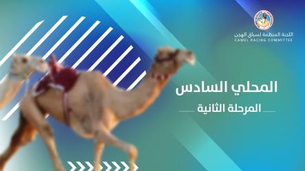 هجن الغرافة وأم الزبار يتألقان في إفتتاح المرحلة الثانية للسباق المحلي السادس...الشعاران الكبيران يتوجان بناموسي الحقايق للأشواط المفتوحة